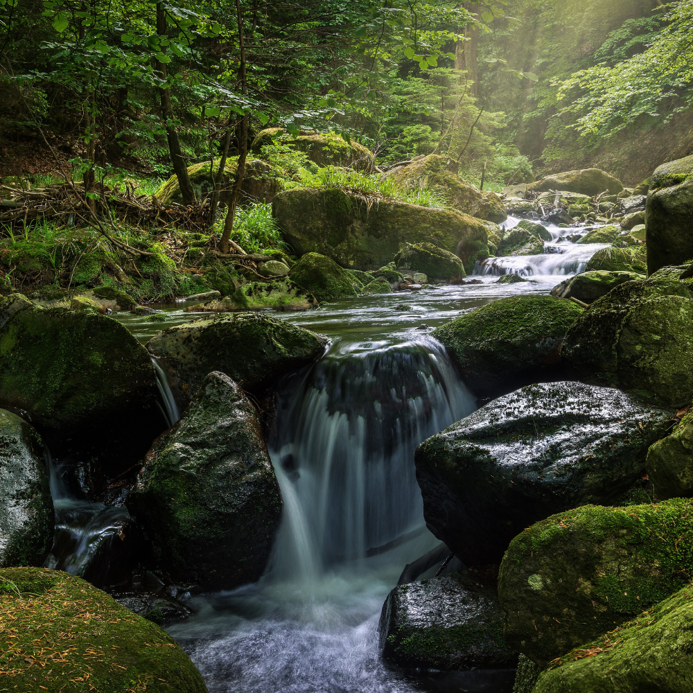 9 Hidden Trending Off beat Destinations in Kashmir You’ve Never Heard Of